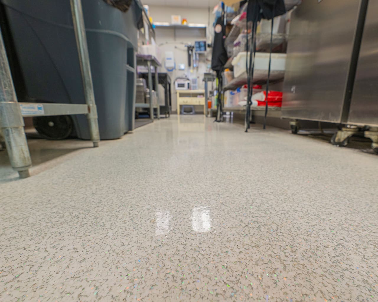 Lemonberry Frozen Yogurt — completed concrete floor by Precision ProFloor